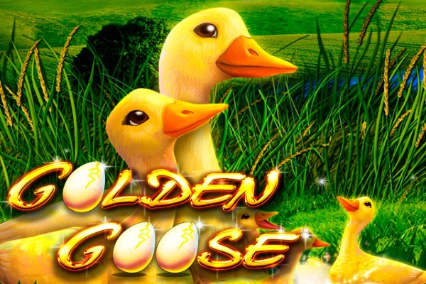 13829 golden goose